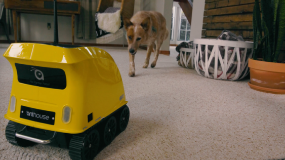 Itt a kutyákkal játszó robot